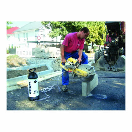 MESTO serbatoio d'acqua pressurizzato H2O 3270W capacità 10 l ( 4000818654 )