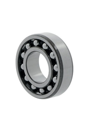 FAG Roulements à rotule sur billes 1204 -TVH Ø intérieur 20 mm Ø extérieur 47 mm ( 8000504479 )