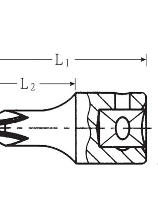 STAHLWILLE Socket 44 PZ 1/4 ″ PZD ( 4000826253 )