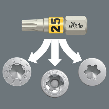 WERA Bit-Check 30 Wood TX HF 1 set di punte da 30 pezzi ( 4000829912 )