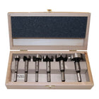 FISCH-TOOLS Set di punte Forstner tipo 0317 6 pezzi ( 4000863448 )