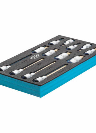 HAZET tool module 163-220/13 13-piece ( 4000871198 )