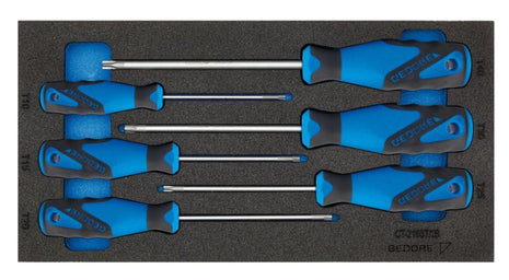 GEDORE tool module 1500 CT1-2163 TX 6-piece 1/3 module ( 4000881217 )