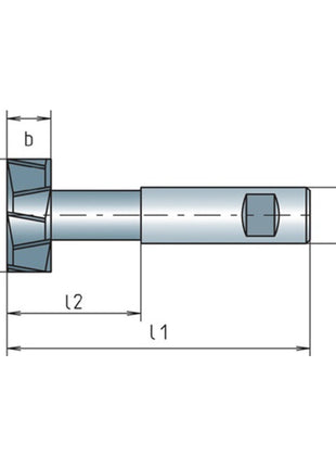 MAYKESTAG T-Nutenfräser DIN 851 AB Typ N Nenn-Ø 21 mm ( 4117802038 )