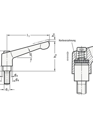 GANTER Adjustable clamping lever GN 300 d1 M 10 mm ( 4601000583 )