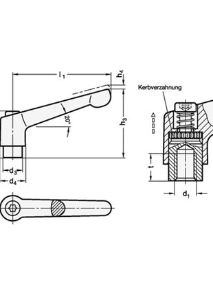GANTER Adjustable clamping lever GN 300 d1 M 10 mm ( 4601000583 )