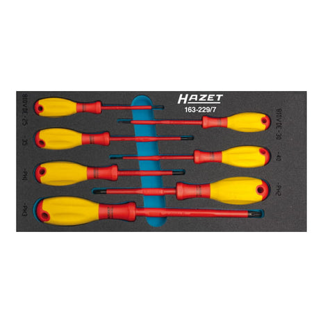 HAZET tool module 163-229/7 7-piece ( 8000465899 )