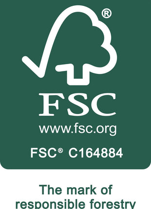 Festool FIS-CT 17/5 Filtersack ( 769136 ) für CT 17 E, VCP 170 E, VCP 171 E-L