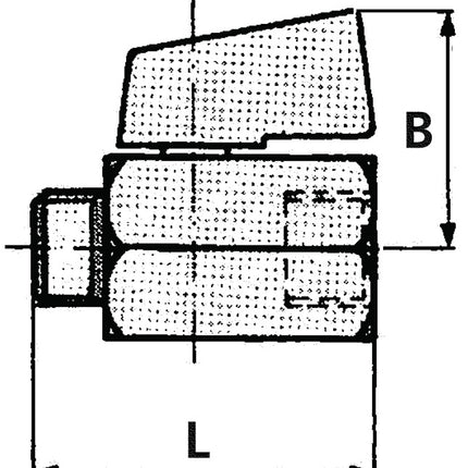 RIEGLER Mini-Kugelhahn VALVE LINE 6 mm 1/4 ( 4163000190 )