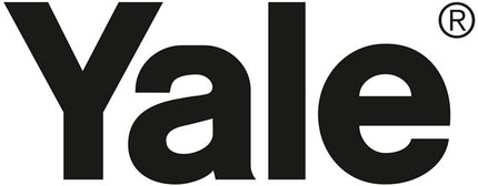 Palan à levier YALE Handy Capacité de charge 500 kg Hauteur de levage 1,5 m ( 4172615006 )