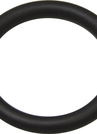 GRAF Dichtung  für Messinghahn 19,05 (3/4″) mm ( 9000450483 )