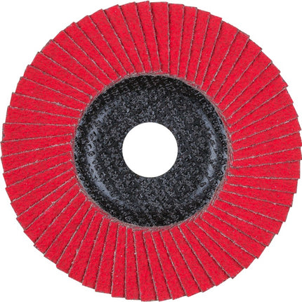 PFERD Fächerschleifscheibe POLIFAN ( 8000146435 ) Ø 125 mm Körnung 60 flach
