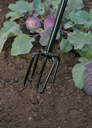 Freund Victoria cultivator ( 4000815647 ) 150 mm