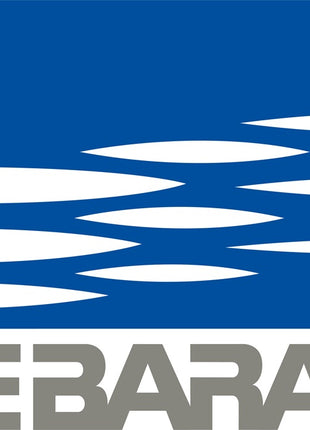 Ebara submersible pump ( 4000893810 ) 14500 l/h 1000 W