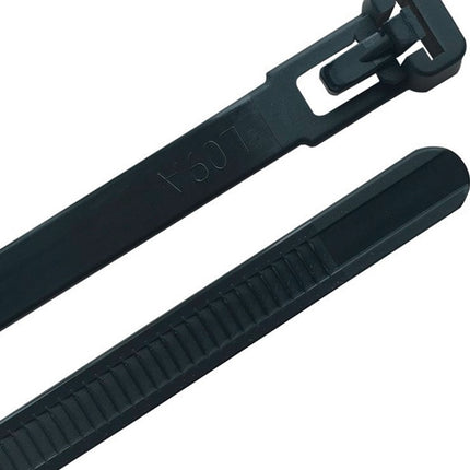 Fascette ( 4000900834 ) Lunghezza 250 mm Larghezza 7,6 mm