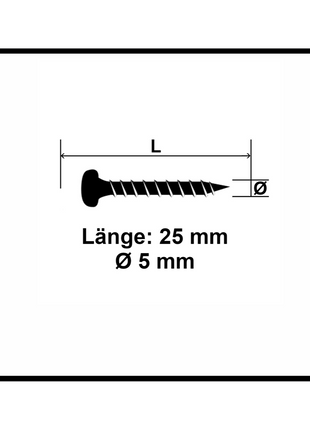 Fischer Power-Fast II FPF II Viti per pannelli 5,0x25 mm 200 pz. ( 670436 ) Testa tonda Torx, filettatura completa, elettrozincata, passivata blu