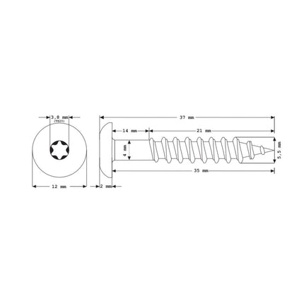 Meisterling Vite per facciate 5,5x35 mm, 100 pz. ( 010030000141 ) - Testa piatta da 12mm, verde scuro, filettatura parziale Torx, in acciaio inossidabile V4A