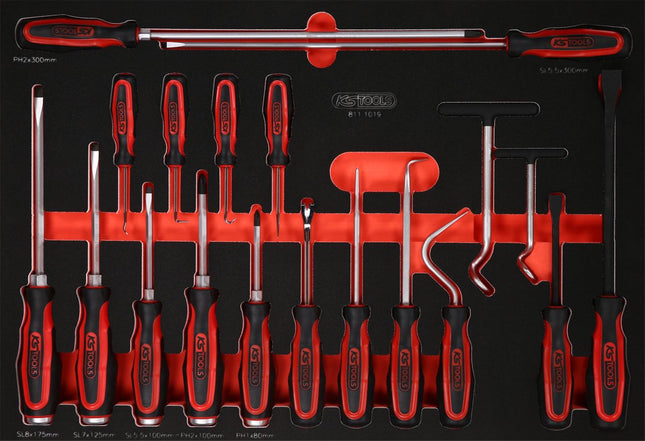 KS TOOLS Serie di giraviti e ganci nell'inserto in schiuma, 19 pz ( 811.1019 )
