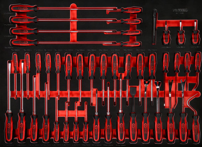 KS TOOLS Serie di giraviti nell'inserto in schiuma, 46 pz ( 821.0046 )