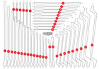 KS TOOLS Inserto in schiuma vuoto per 811.2041 ( 811.2041-97 )