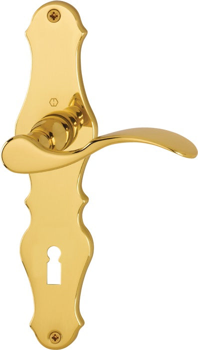 HOPPE set di rosette lunghe Weimar M112SLN/2007 ottone F73 ( 3000253094 )