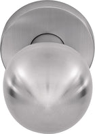 OGRO pomello per porta OGRO 3548/6500 ER in acciaio inox ER ( 3000267129 )