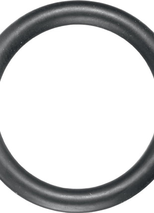ASW rubber retaining ring 720 GR Outer Ø approx. 21 mm ( 4000820736 )