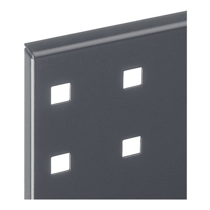 RASTERPLAN Lochplatte B450xL500mm ( 9000428174 )