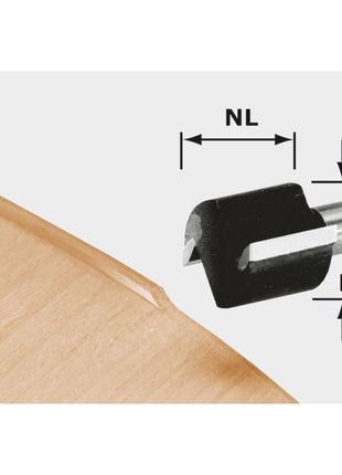 Festool HW D 19/16 S8 OFK 700 flush milling cutter 19 x 16 x 46 x 8 mm ( 491666 ) for router OF 1010, OF 1010 R, edge router OFK 700, MFK 700